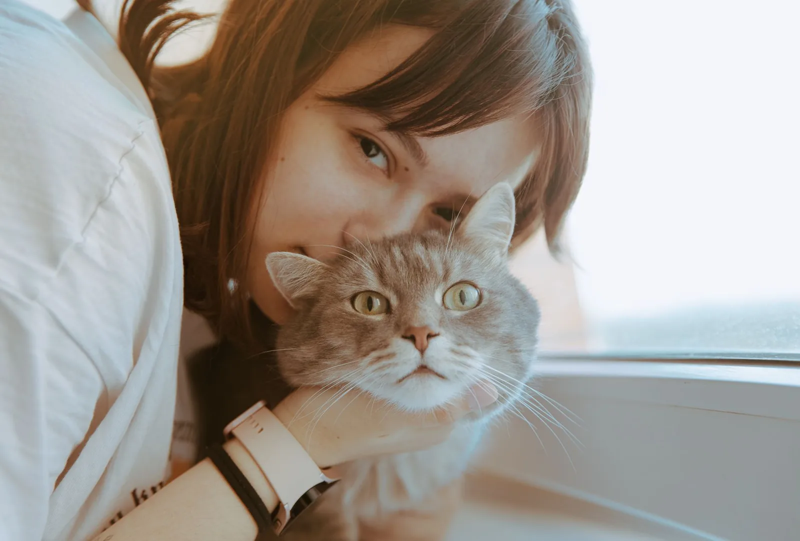A caregiver cuddling a content cat in soft natural window light