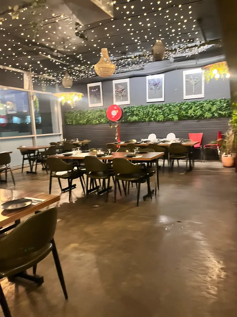 The Curry Culture & Co dining room with string lights and a green feature wall