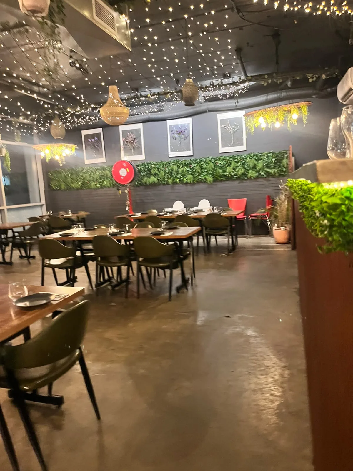 Warm, fairy-lit dining room at The Curry Culture & Co in the evening