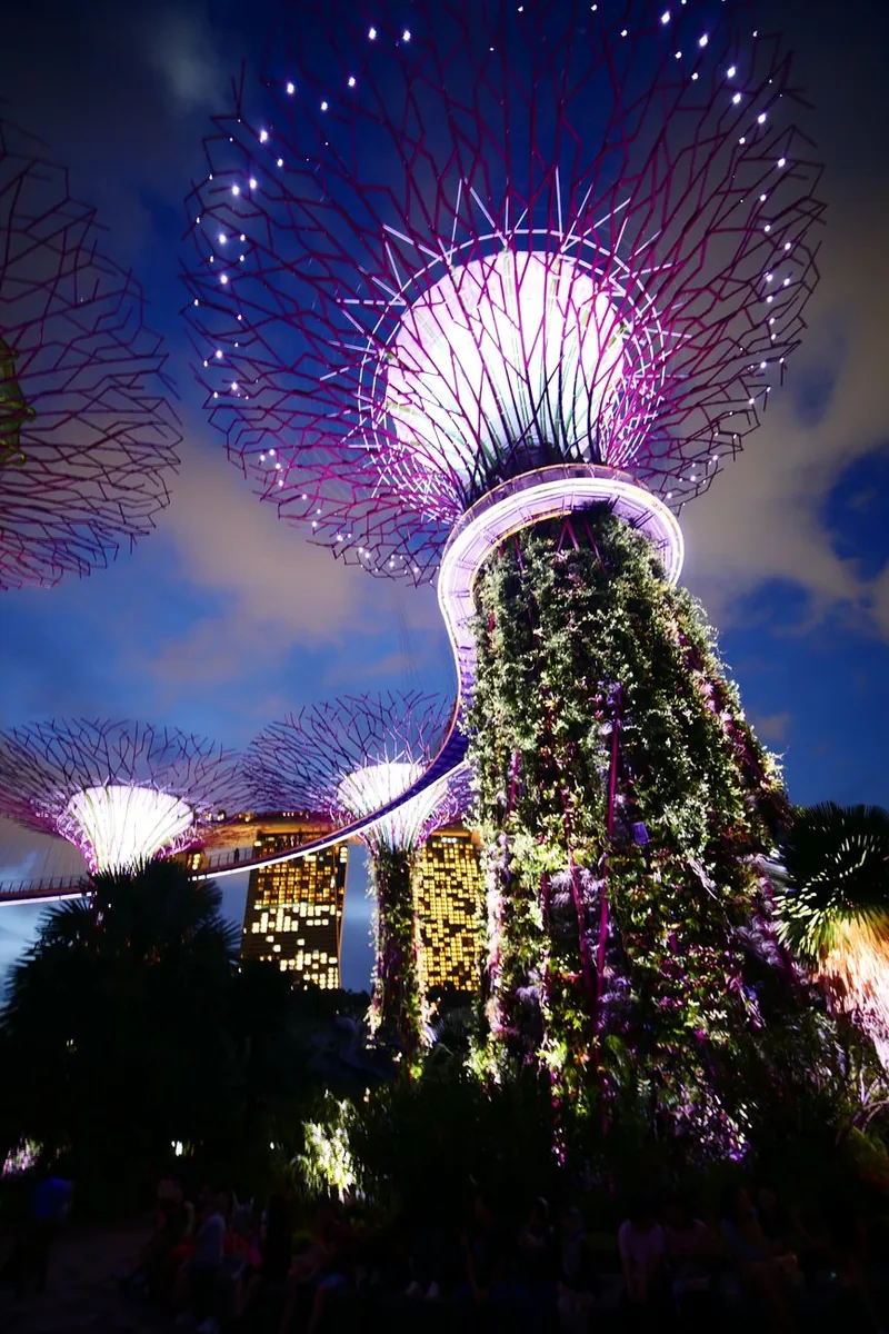 Singapore Gardens by the Bay